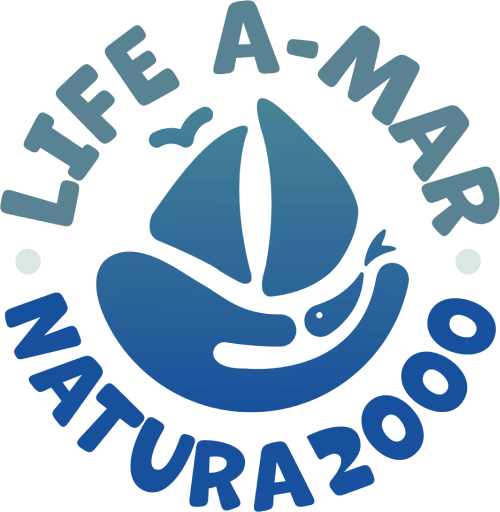 Life Amar