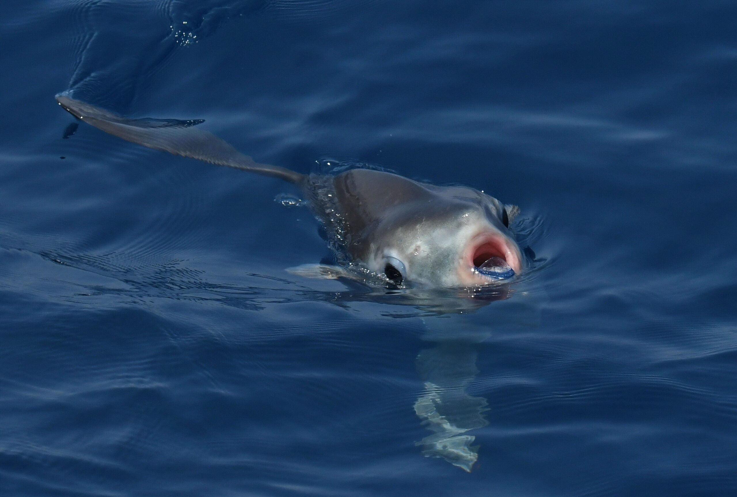 Una marea di foto per scoprire quanto amiamo il Mediterraneo!