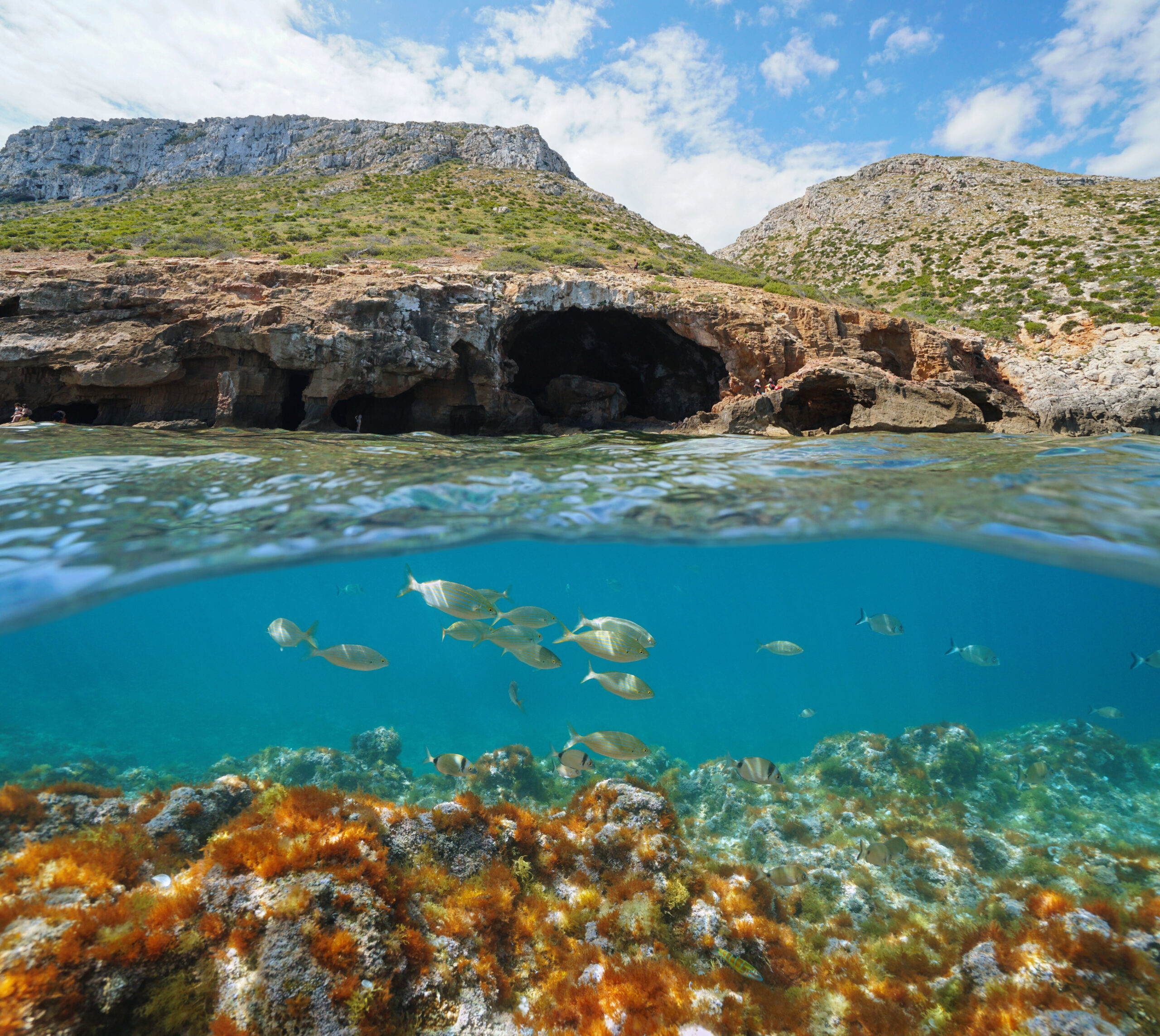 LIFE A-MAR NATURA2000 approda in Spagna
