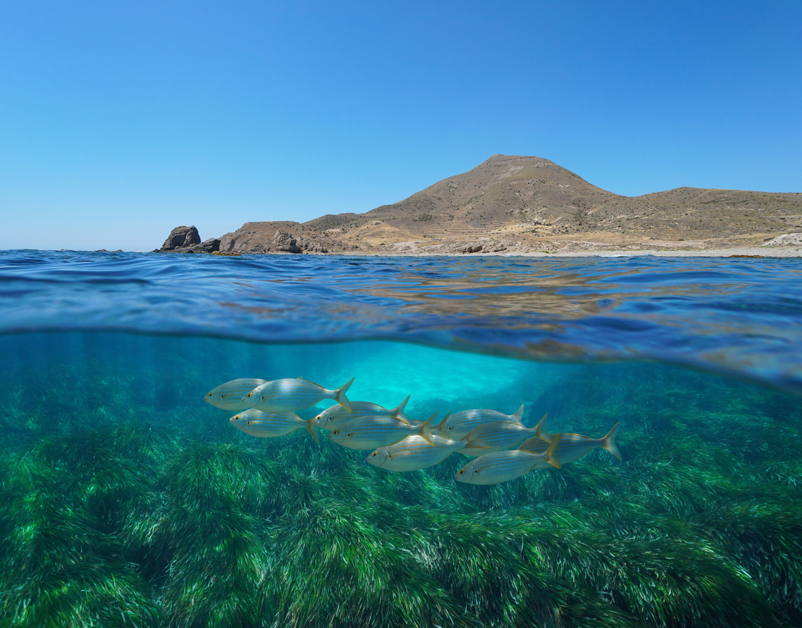 A first analysis of the perception of the marine Natura 2000 Network in Spain in the framework of LIFE A-MAR