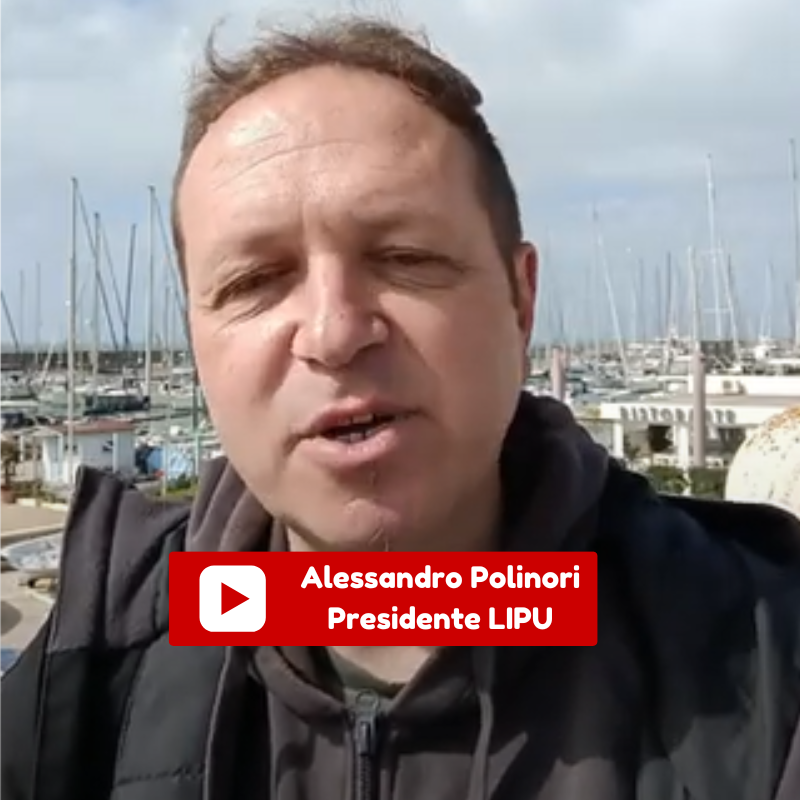 Natura 2000 Day con la LIPU per scoprire i siti marini Natura 2000